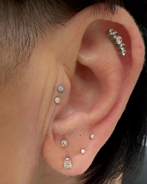double tragus